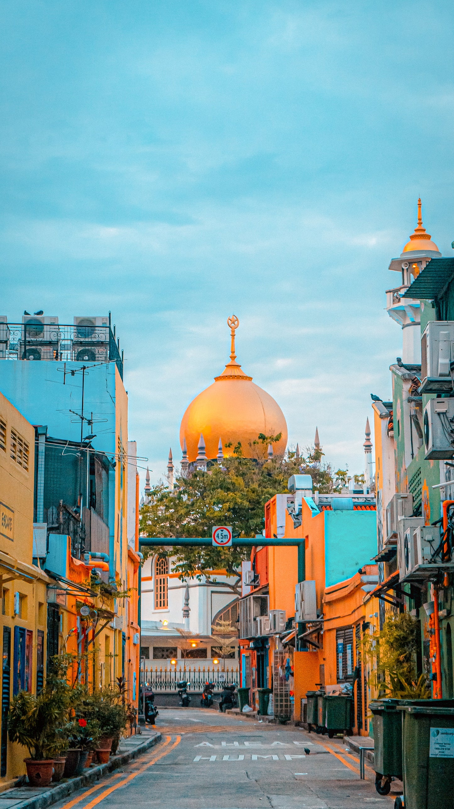 Arab Street: A Thousand Arabian Nights and Treasures